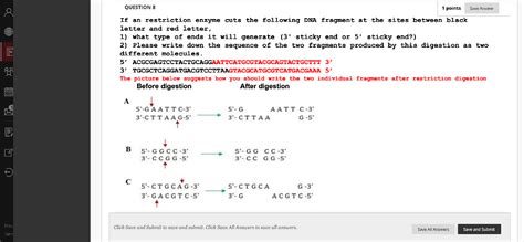 Solved If an restriction enzyme cuts the following DNA | Chegg.com 