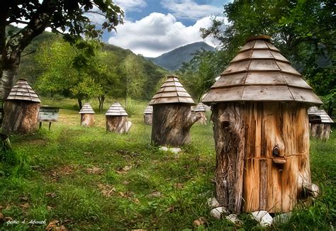 Пасека Циолковского