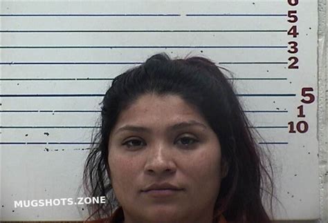 Garcia Vidales Priscilla Snowy 01072024 Comanche County Mugshots Zone