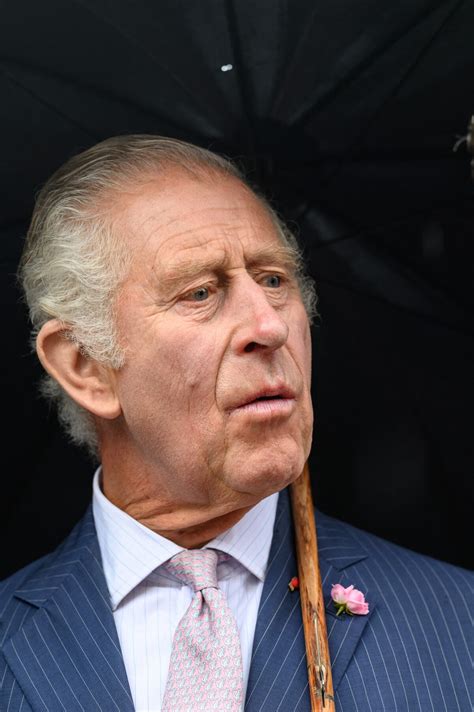 Photo Charles III Est Atteint D Un Cancer On Ignore Encore La Partie