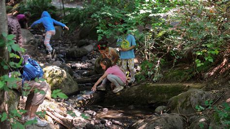 Teaching Kids About Sustainability Through Exploration - Pacific ...