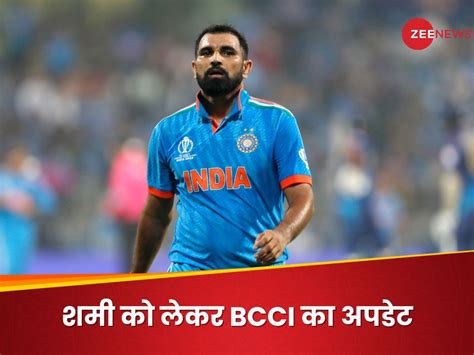 Mohammed Shami Fitness Update By Bcci Will He Out From Upcoming T20