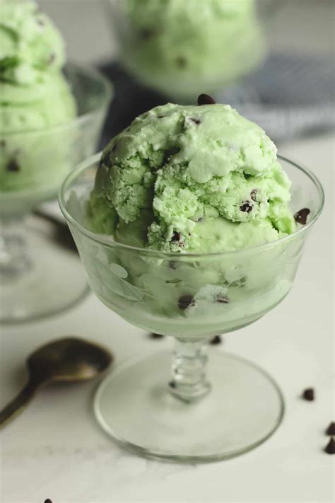 Mint Chip Ice Cream Suebee Homemaker