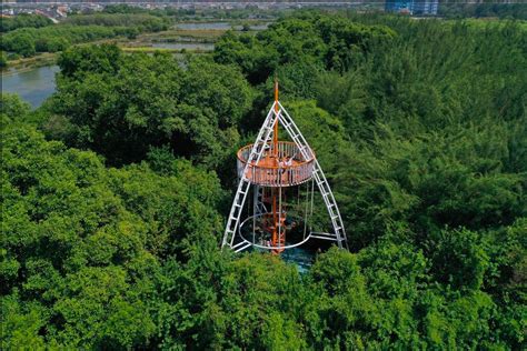 Panduan Wisata Kebun Raya Mangrove Surabaya