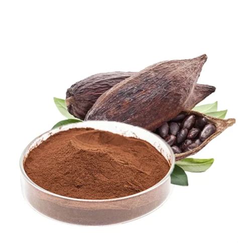 Manufacturer Supply Natural 25kg Cocoa Beans Extract Alkalized Cocoa Powder Cocoa Bean Powder