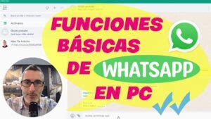 Descubre Todas Las Funciones De La Aplicaci N De Whatsapp Para Pc