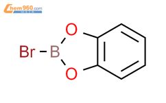 2 溴 1 3 2 苯并二氧硼烷 2 Bromo 1 3 2 benzodioxaborole 51901 85 0 上海颖心实验室设备有限