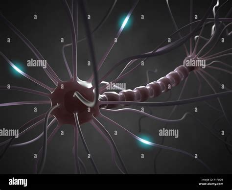 Nerve Cell Computer Illustration Stock Photo Alamy