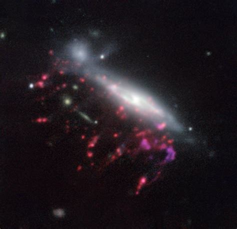 Hubble Space Telescope Captures Jellyfish Galaxy Jo Science News