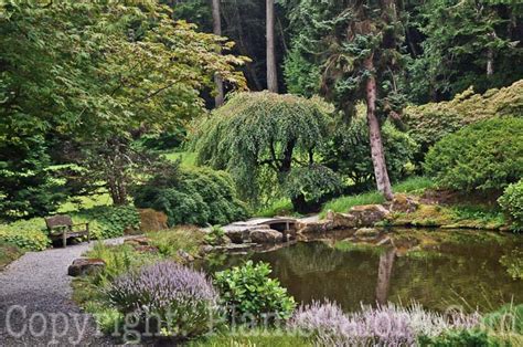 The Bloedel Reserve - Washington - USA - Gardens, Parks, Squares and ...