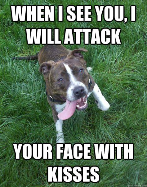 Pit Bull Attack Memes Quickmeme