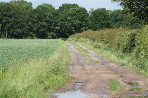 Track Towards Lady Wood J Hannan Briggs Cc By Sa Geograph