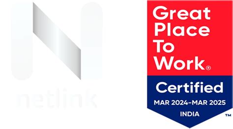 Netlink - Netlink Software Group America Inc.