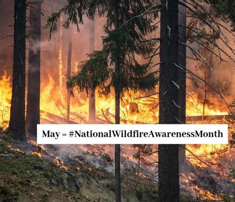 May Is National Wildfire Awareness Month And 6 Facts