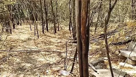 Desi Aunty Outdoor Sex XHamster
