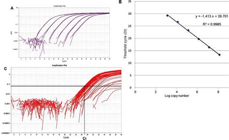 Scielo Brasil Absolute Quantification Of Viruses By Taqman Real