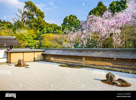 Kyoto, Japan at Ryoan-ji Temple Zen garden in the spring season Stock ...