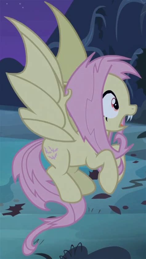 Bat Pony Fluttershy Nehru Memorial