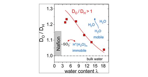 Transport Mechanism In Nafion Revealed By Detailed Comparison Of H And