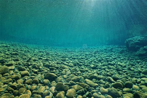 Pebbles Underwater in River with Clear Freshwater Stock Image - Image ...