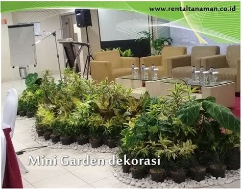 MINI GARDEN Rental Tanaman