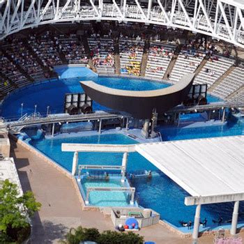 SeaWorld Orlando Shamu Stadium, 1984, 1995*,... - the whale pool