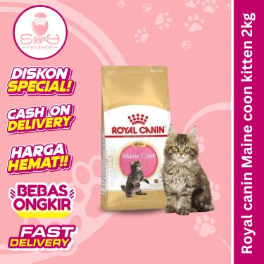 Jual Royal Canin Kitten Maine Coon Kg Shopee Indonesia