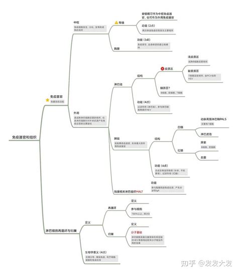 医学免疫学思维导图 知乎