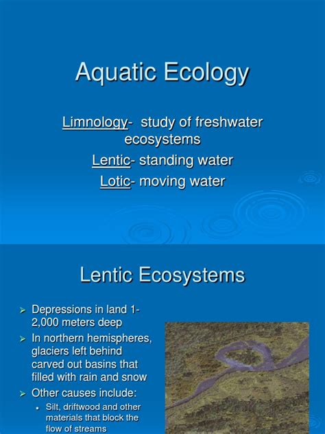 Aquatic Ecology Limnology Study Of Freshwater Ecosystems Lentic