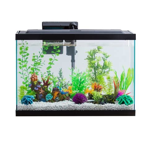 20 Gallon Long Aquarium Review - Aquarium Dimensions