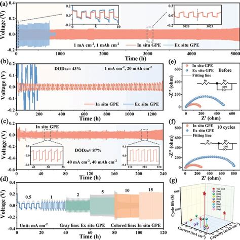 Electrochemical Performance Of The In Situ And Ex Situ Symmetric Cells