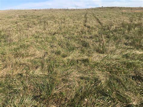grassland restoration network | Connect with colleagues in restoring