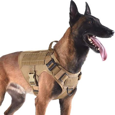 12 Best Tactical Dog Harness Reviews For Your Dog 2021 All Pets Life