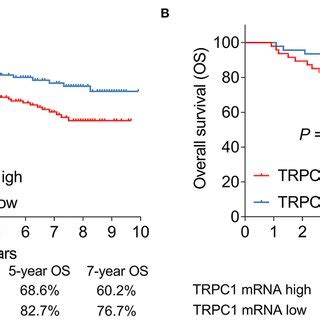 Correlation Of TRPC1 Expression With Tumor Features In Patients With