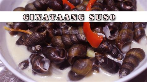 Cooking Ginataang Suso How To Cook Fresh Water Snail Youtube