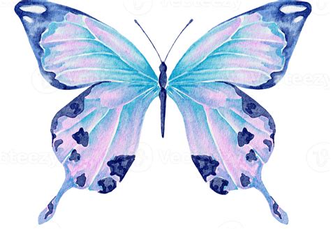 Acuarela Mariposa Azul 16548533 PNG