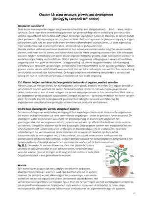 Biologie Samenvatting De Middelbaar Biologie Enzymen