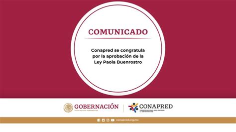 2024 12 Conapred Se Congratula Por La Aprobación De La Ley Paola