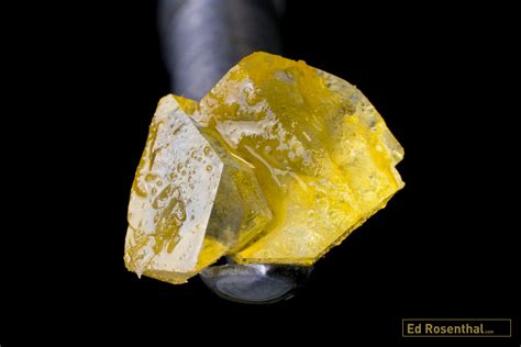 Diamond Mining With Live Resin A Step By Step Guide To The