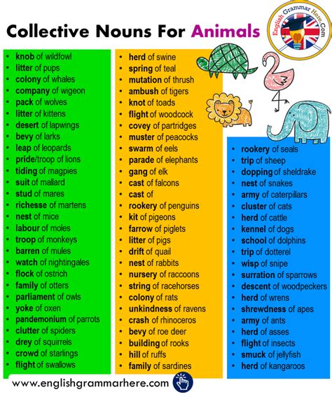 Collective Nouns Definition And Examples English Grammar Here