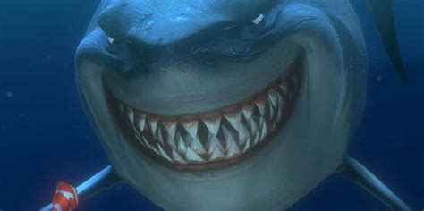 Smiling Lemon Shark Looks Just Like Bruce From Finding Nemo The