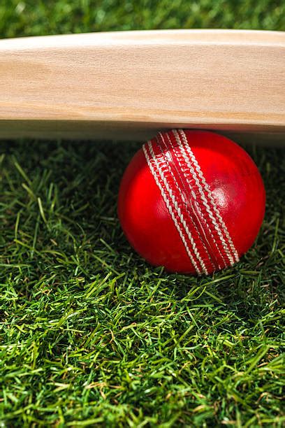 150 Cricket Bat And Ball On Green Grass Stock Photos Pictures