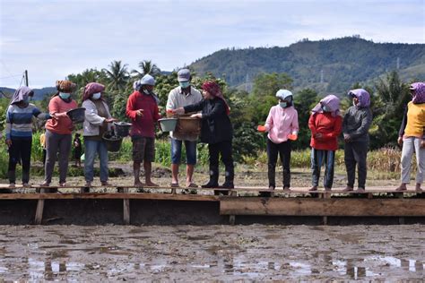 Bantu Petani Yang Gagal Panen Akibat Sawah Terendam Banjir Waspada