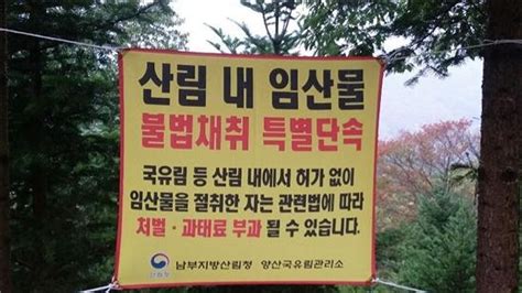 봄철 산림 내 불법행위 특별단속