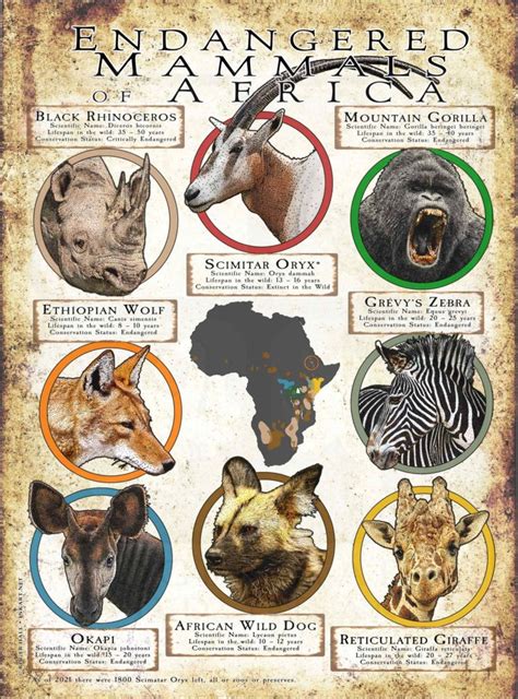 Endangered Mammals of Asia Poster Print