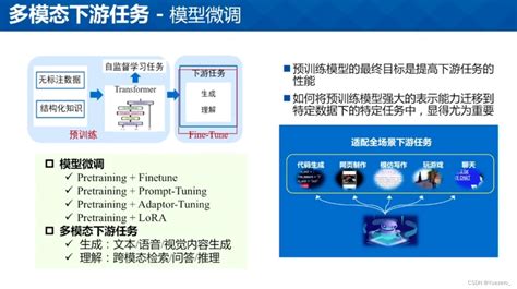 视频理解多模态大模型 大模型基础、微调、视频理解基础 Csdn博客