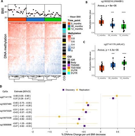 Dmp Characteristics And Replication A Heat Map Showing Dna Methylation