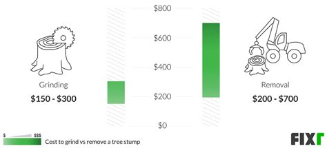 2022 Stump Grinding Cost Average Cost Of Stump Grinding