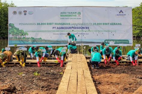 Peringati Hari Lahan Basah Sedunia Klhk Tanam Tanam Mangrove Di