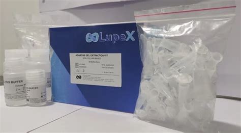 LUPEX BIO Agarose Gel DNA Extraction Kit Spin Column Based At Rs 3300